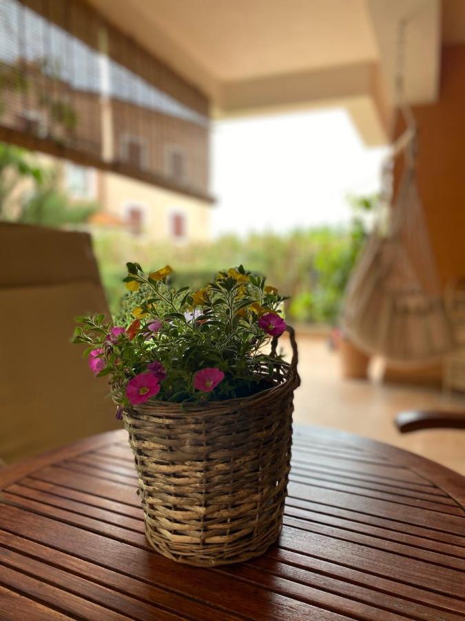 Apartman Rose-2025 Renovated Garden View 포레치 외부 사진
